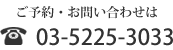 03-5225-3033